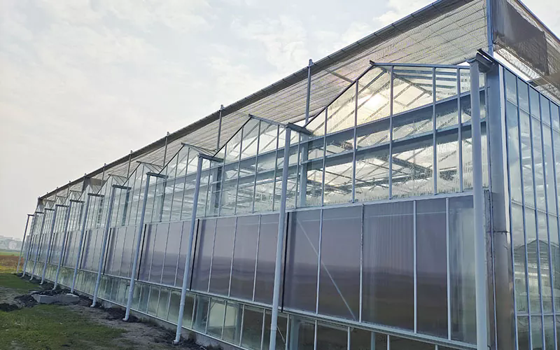 Harnessing the Power of Light: Venlo Polycarbonate PC Sheet Greenhouses