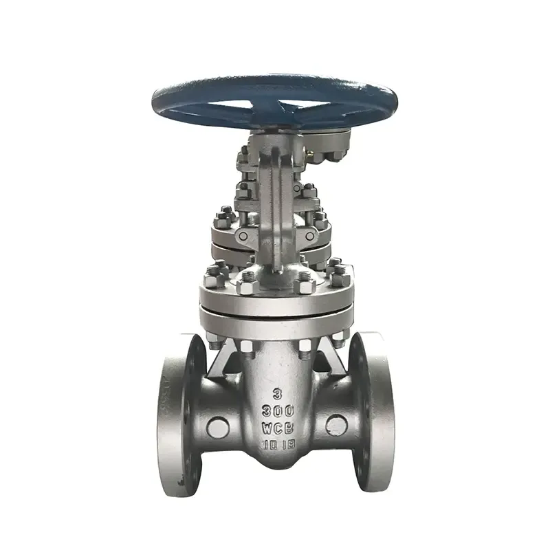 What Are Gate Valves and How Do They Work?